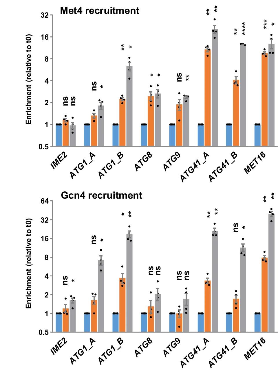 Open access visualization of Bar Plot, Error Bars, Met4, Gcn4, Promoters