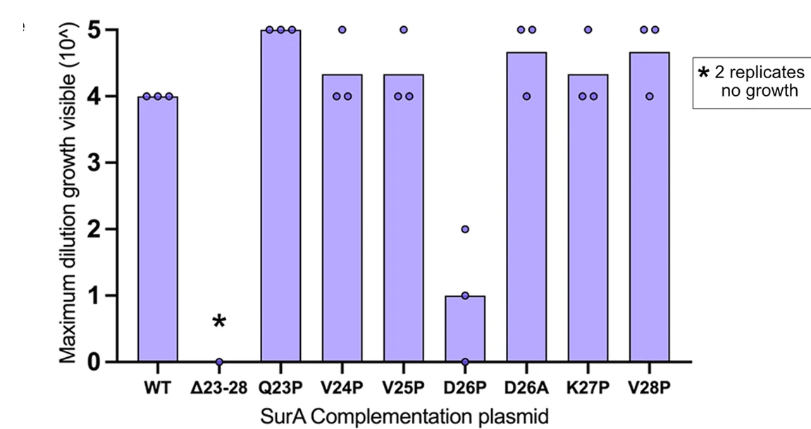 Open access visualization of Bar Plot, Scatter Plot, Bacteria Growth, Dilution, SurA Variants