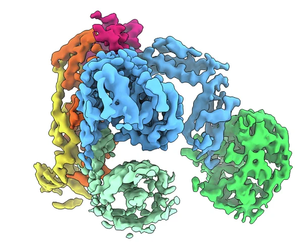 Open access visualization of Protein Structure, CryoEM, BAM, EspP Barrel, SurA
