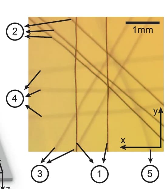 Open access visualization of Photo, Microscopy, XY-View Optical Image, Suture Phantom, Sutures