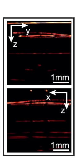 Open access visualization of Microscopy, Maximum Intensity Projections, OptA Image, Suture Phantom, XY Plane