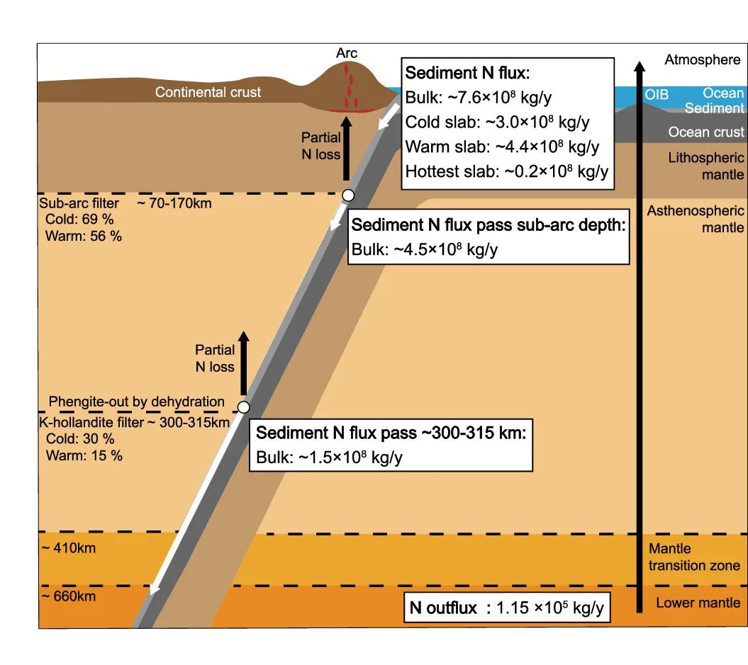 Open access visualization of Workflow, Illustration, Schematic Diagram, Nitrogen Flux, Global Sediments