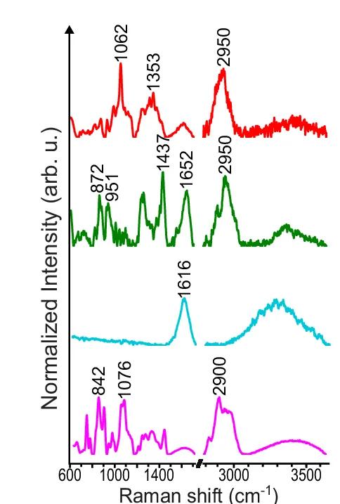 Open access visualization of Line Plot, Raman Spectra, Collagen, GAG, Water