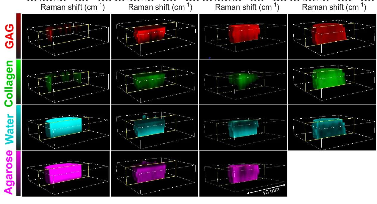 Open access visualization of 3D Plot, RSPT 3D Rendering, GAG, Collagen, Water