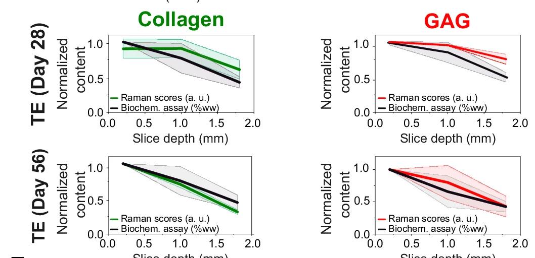 Open access visualization of Line Plot, Error Bars, Collagen, GAG, RSPT