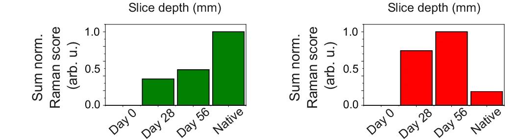 Open access visualization of Bar Plot, Collagen, GAG, Water, Cartilage