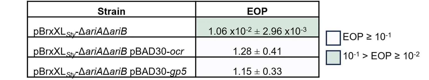 Open access visualization of Table Image, EOP, E. coli, Plasmid, Control