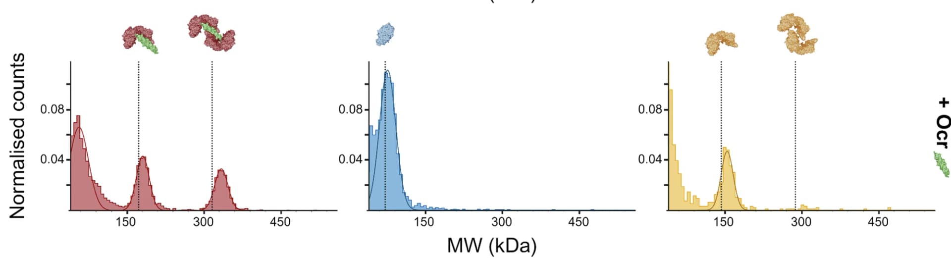 Open access visualization of Histogram, Density Plot, Mass Photometry, Proteins, Ocr