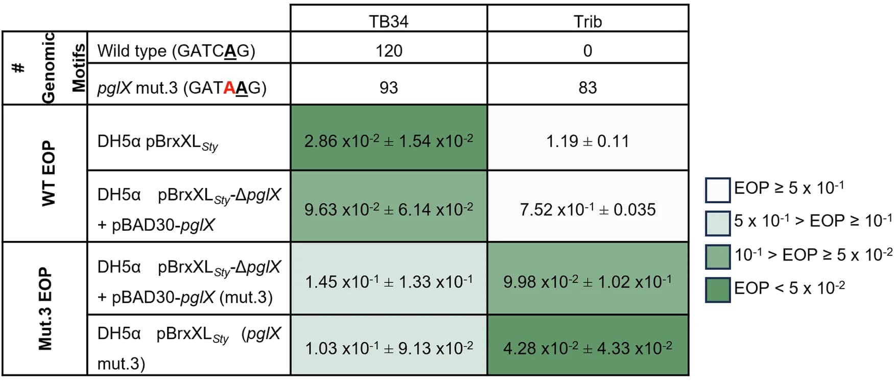 Open access visualization of Heatmap, EOP, Phages, E. Coli, BREX Sty