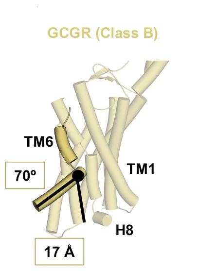 Open access visualization of Protein Structure, Class B, GCGR