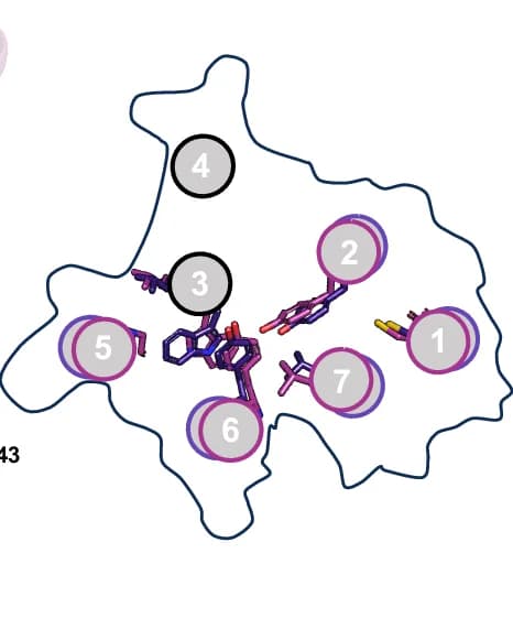 Open access visualization of Protein Structure, Chemical Structure, Transmembrane Domains, Residues, Inactive Conformation