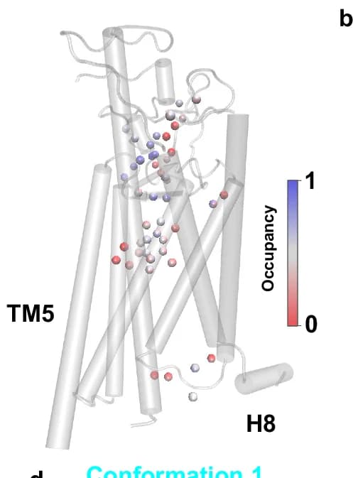 Open access visualization of Protein Structure, Scatter Plot, Water Molecules, Molecular Dynamics, Inactive FZD7