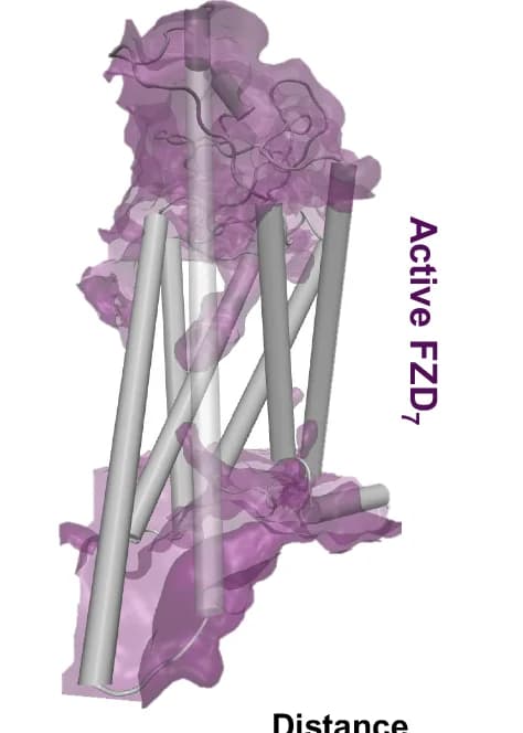 Open access visualization of 3D Plot, Protein Structure, Volumetric Map, Water Molecules, Occupancy