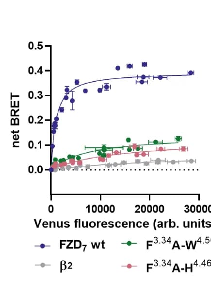 Open access visualization of Scatter Plot, Line Plot, Error Bars, NanoBiT-based DEP Recruitment BRET Assay, FZD7-SmBiT