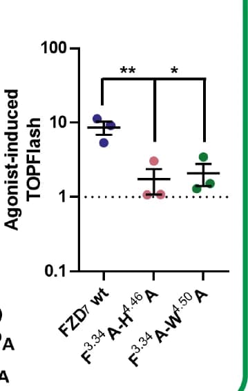 Open access visualization of Scatter Plot, Error Bars, FZD Mutants, HEK293T Cells, Renilla (Rluc)
