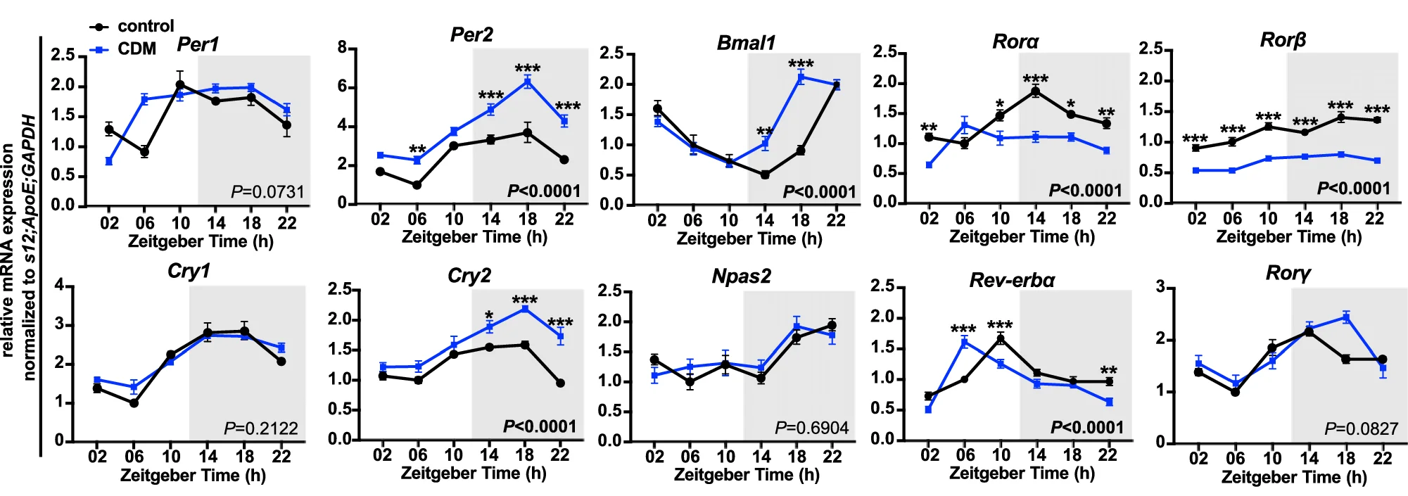 Open access visualization of Line Plot, Error Bars, mRNA Expression, Clock Genes, mPFC Samples