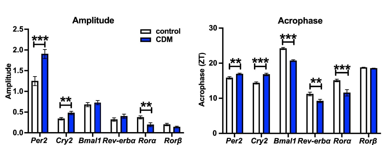 Open access visualization of Bar Plot, Error Bars, Clustered, Rhythmic Expression, Acrophase