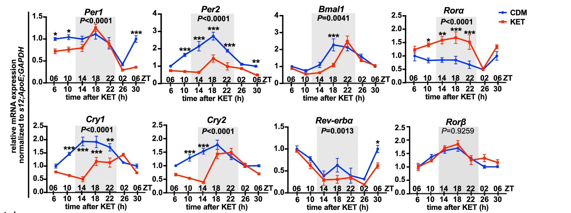 Open access visualization of Line Plot, Error Bars, mRNA Expression, Clock Genes, mPFC Samples