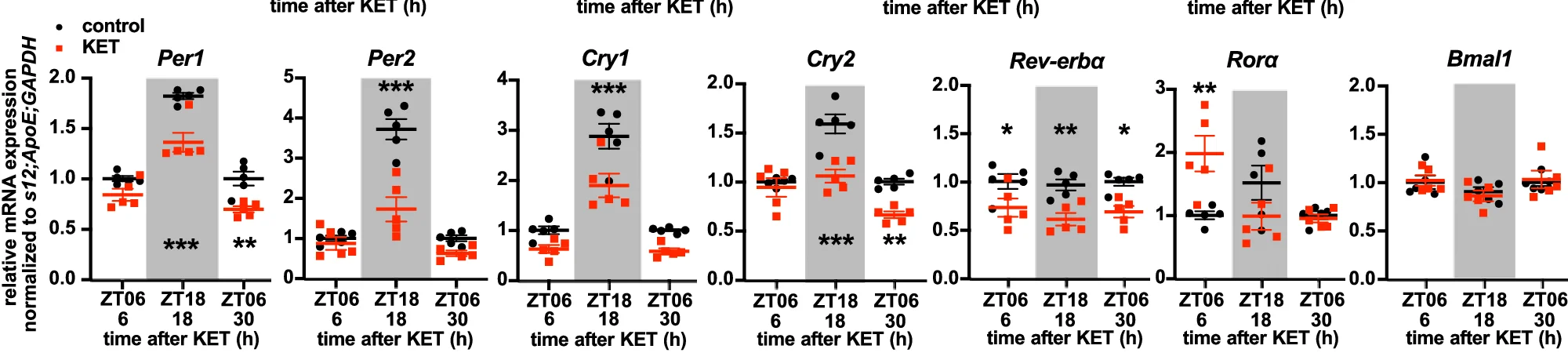 Open access visualization of Scatter Plot, Error Bars, mRNA Expression, Clock Genes, mPFC Samples