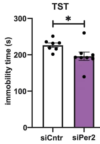 Open access visualization of Bar Plot, Error Bars, Immobility Time, Test Phase, TST