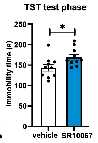 Open access visualization of Bar Plot, Error Bars, Scatter Plot, Immobility Time, Tail Suspension Test