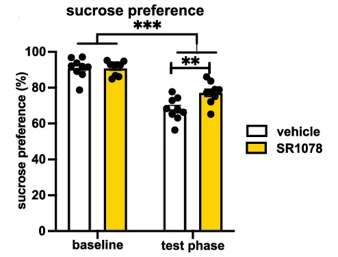 Open access visualization of Bar Plot, Clustered, Scatter Plot, Sucrose Preference, IntelliCage