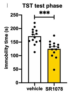 Open access visualization of Bar Plot, Immobility Time, Tail Suspension Test, Two-tailed Student’s T-Test
