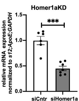 Open access visualization of Bar Plot, Error Bars, mRNA Expression, Homer1a, Medial Prefrontal Cortex