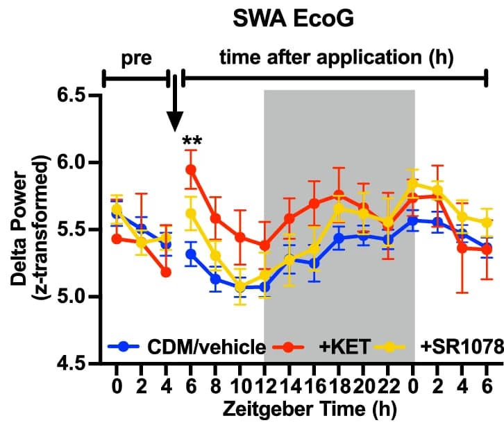 Open access visualization of Line Plot, Error Bars, Delta Power, ECoG Signal, Slow Wave Sleep