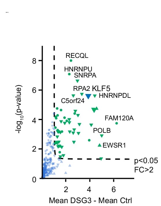 Open access visualization of Volcano Plot, Scatter Plot, Scatterblot, Genes, DSG3