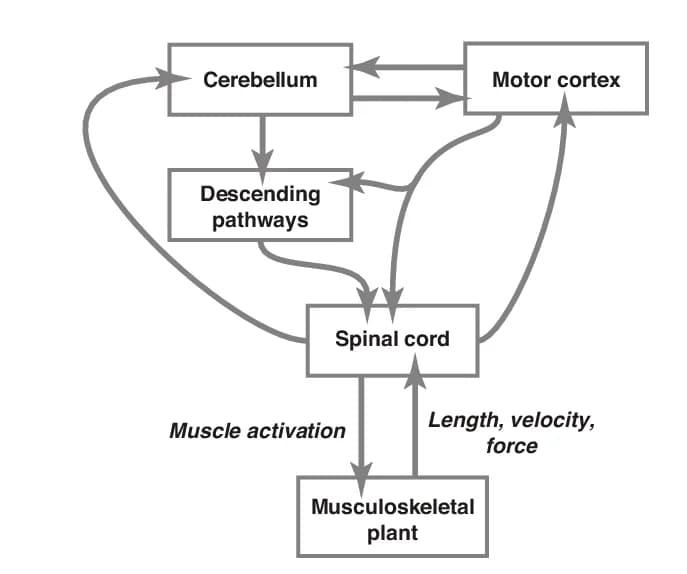 Open access visualization of Workflow, Flowchart, Illustration, Block Diagram, Mechanical Loads