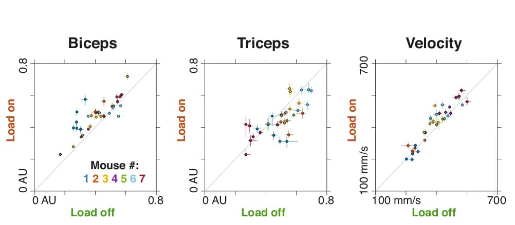 Open access visualization of Scatter Plot, Error Bars, Biceps Activity, Triceps Activity, Finger Velocity