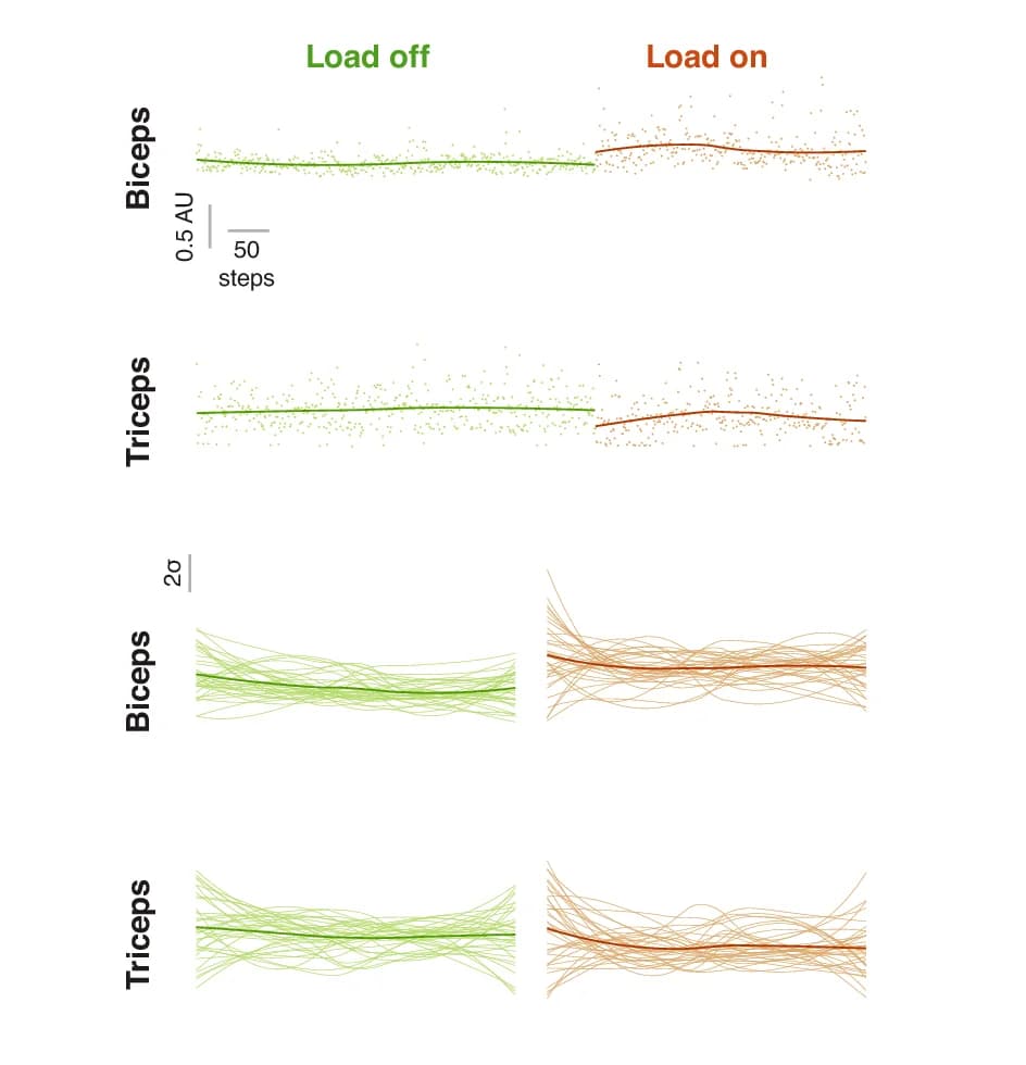 Open access visualization of Line Plot, Scatter Plot, Electromyogram Amplitude, Biceps Amplitude, Triceps Amplitude