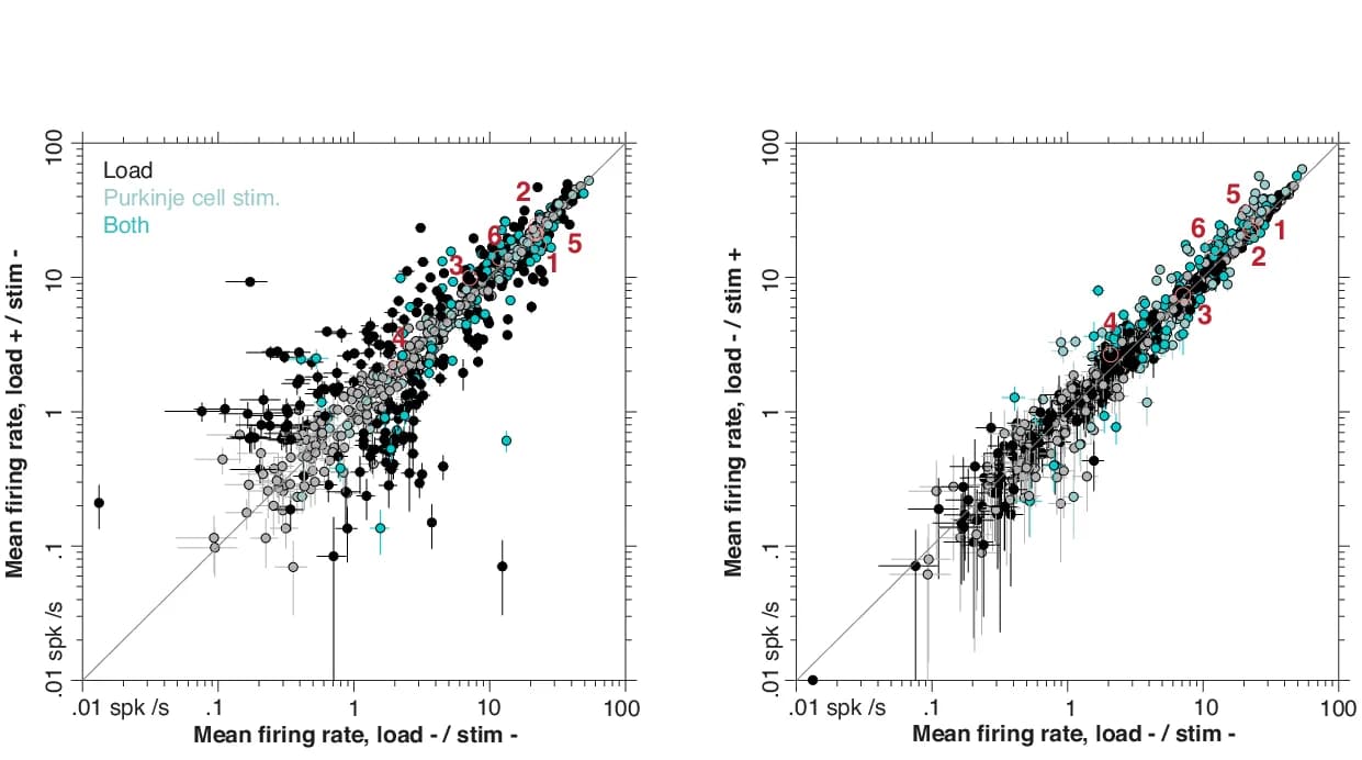 Open access visualization of Scatter Plot, Error Bars, Mean Firing Rates, Neurons, Load