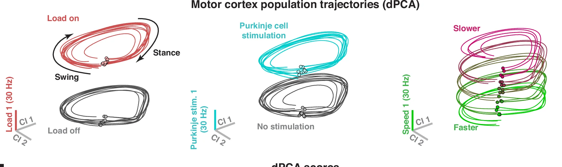 Open access visualization of Line Plot, Neural Trajectories, Demixed Principal Component Analysis, Population Activity, Condition-Invariant Dimensions