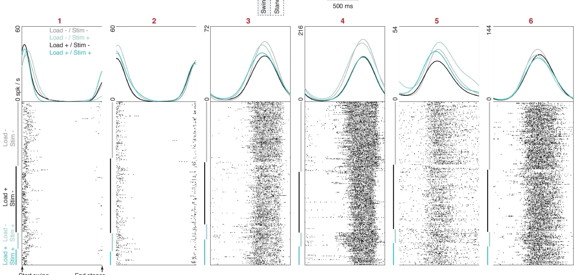 Open access visualization of Line Plot, Scatter Plot, Firing Rates, Spike Rasters, Motor Units