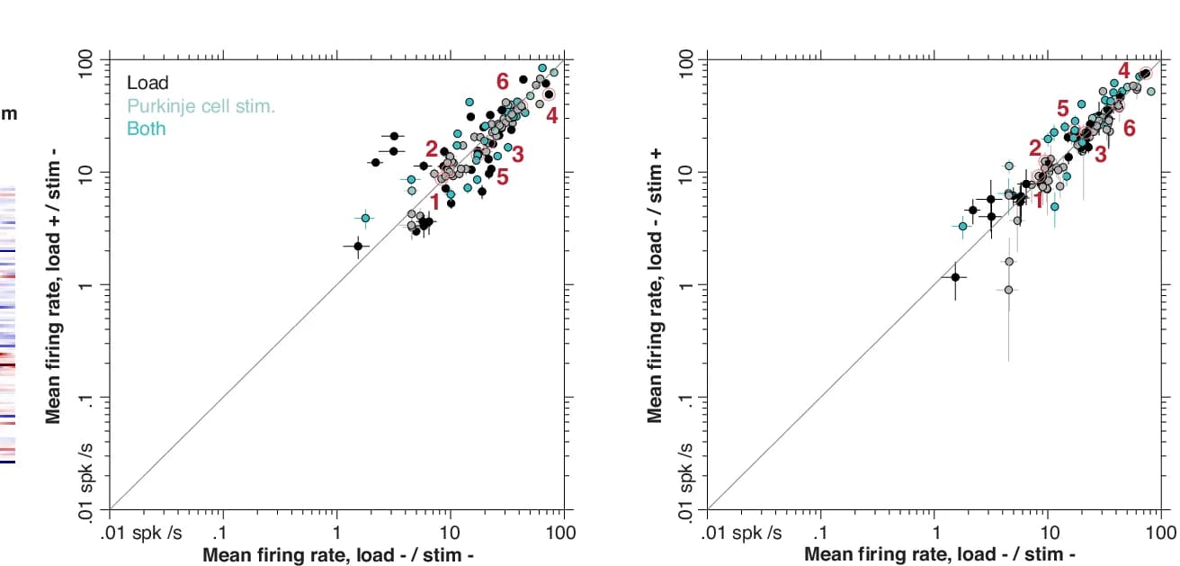 Open access visualization of Scatter Plot, Error Bars, Firing Rates, Motor Units, Load