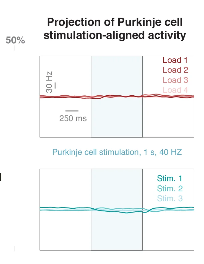 Open access visualization of Line Plot, Firing Rates, Purkinje Cell Stimulation, Load Dimensions
