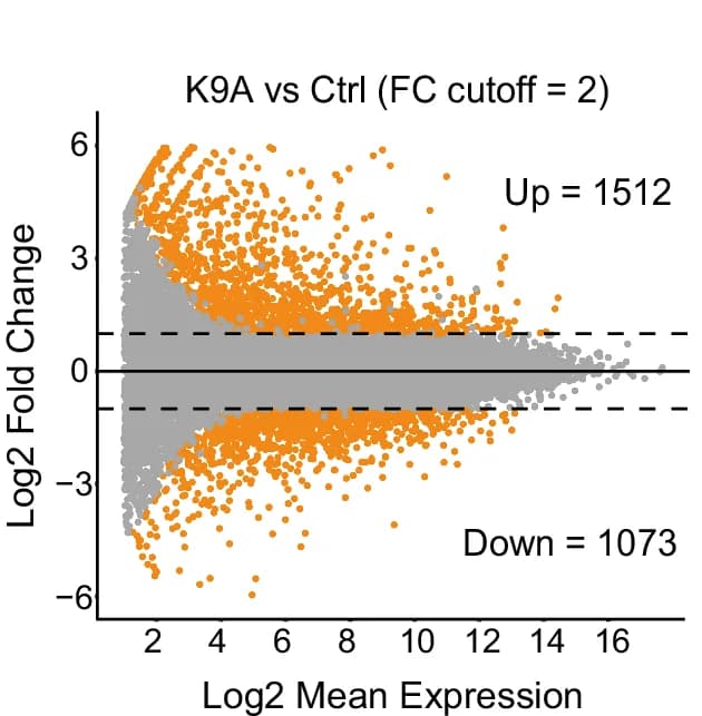 Open access visualization of Volcano Plot, Scatter Plot, DEGs, mESCs, DESeq2