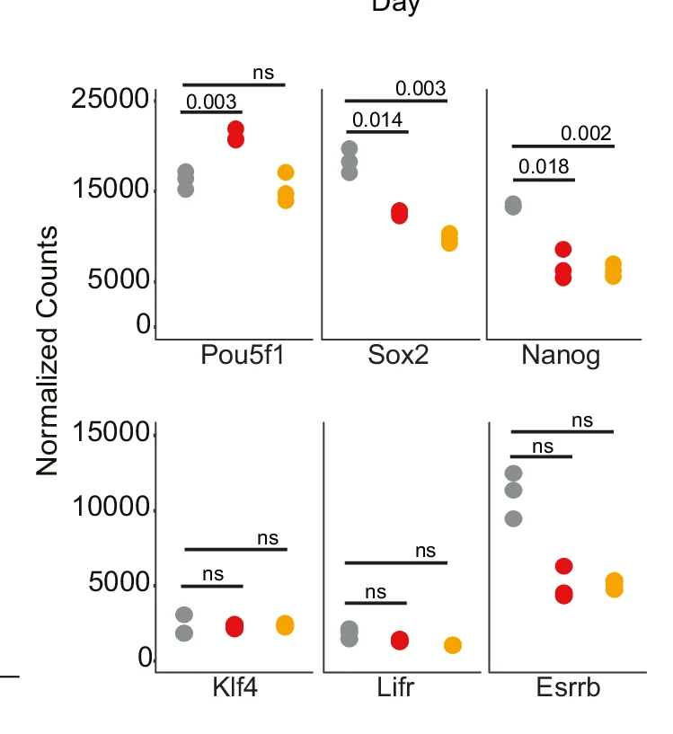 Open access visualization of Scatter Plot, mRNA-seq, Pluripotency Markers, mESCs, DESeq2