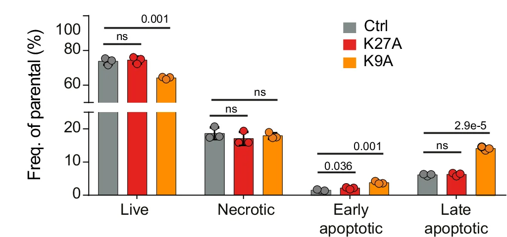 Open access visualization of Bar Plot, Error Bars, Clustered, Barplot, Cell Viability