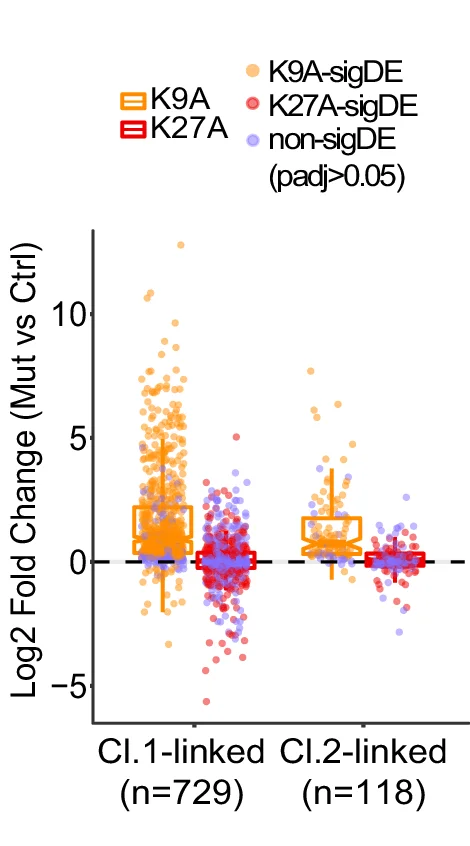 Open access visualization of Box Plot, Scatter Plot, Genes, DA-H3K9me3 Regions, Gene Regulatory Network