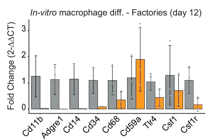 Open access visualization of Bar Plot, Error Bars, RT-qPCR, Immune Cell Markers, Embryoid Bodies