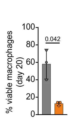 Open access visualization of Bar Plot, Error Bars, Viable Macrophages, Macrophage Differentiation, Control