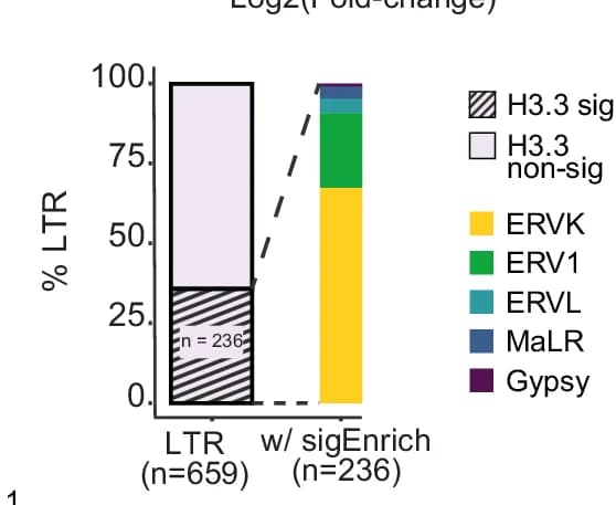 Open access visualization of Stacked Bar Plot, Stacked Barplot, ERVs, H3.3 Enrichment, ERV Families