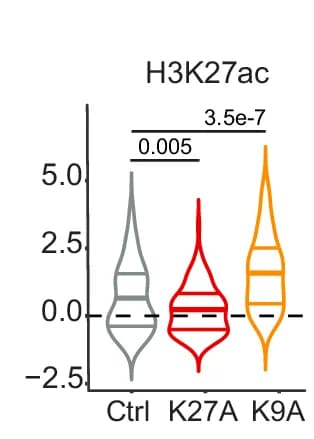 Open access visualization of Violin Plot, Violin Plots, H3K27ac, ERV Subfamilies, Control