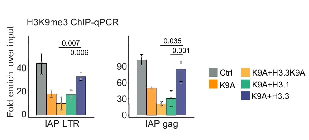 Open access visualization of Bar Plot, Error Bars, Clustered, H3K9me3 ChIP-qPCR, ERV Sequences