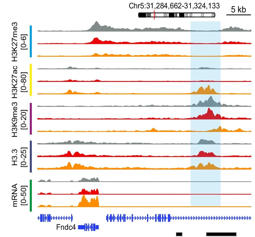 Open access visualization of Line Plot, PRO-seq Signal, dREG Enhancers, GRN, K9A