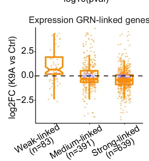 Open access visualization of Box Plot, Scatter Plot, Violin Plot, Raincloud Plot, DEGs