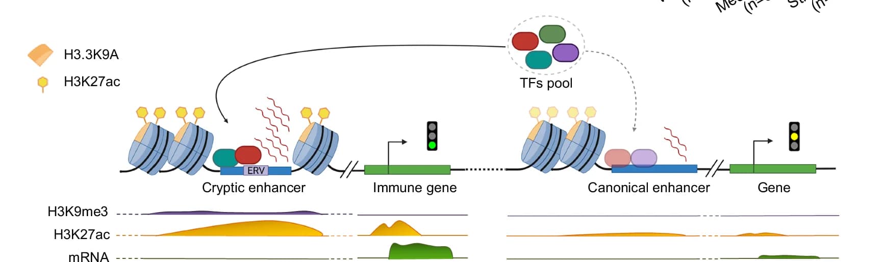 Open access visualization of Workflow, Line Plot, cis-Regulatory Elements, H3.3K9A mESCs, BioRender